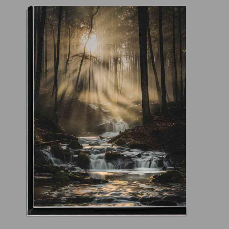 Buy Di-Bond : (Sun blasting through the flowing river)