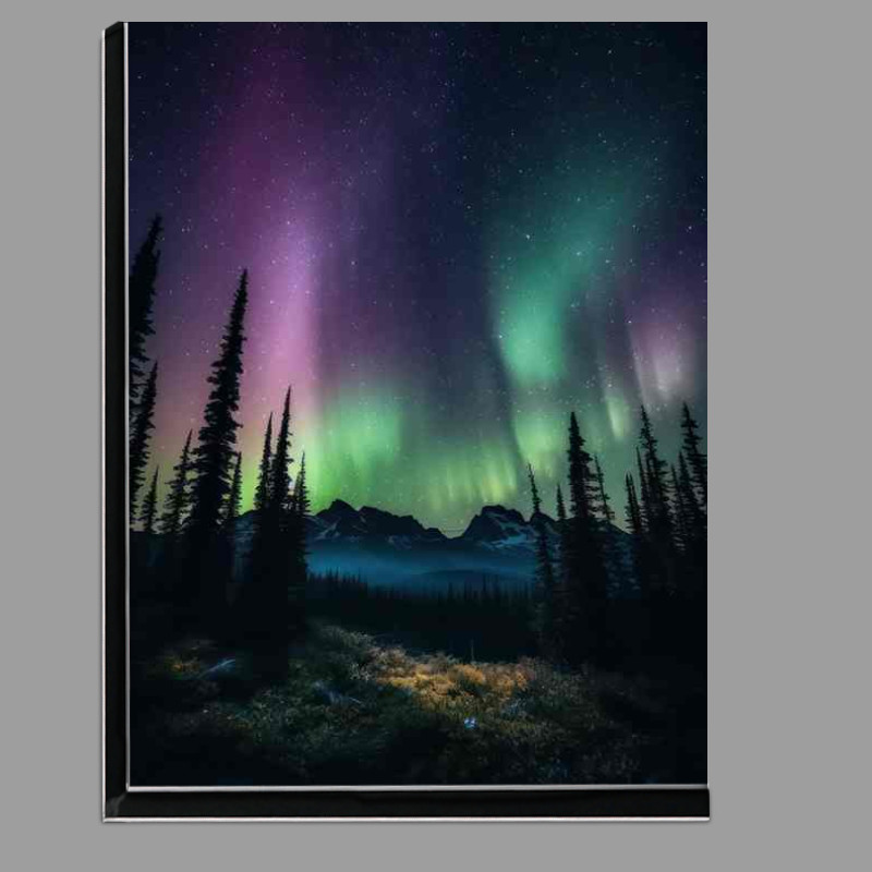 Buy Di-Bond : (Arctic Nights Meets Aurora)