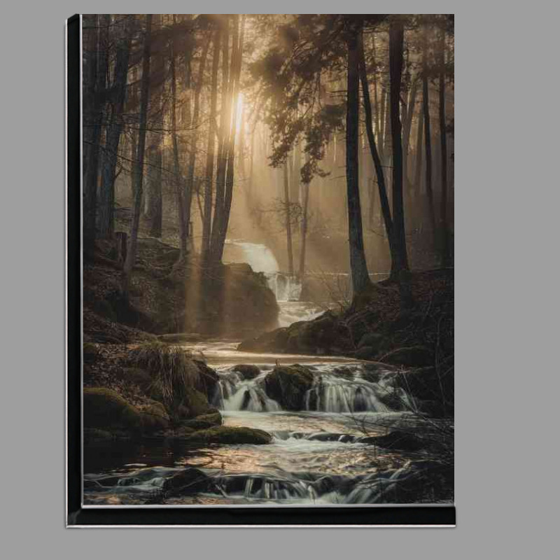 Buy Di-Bond : (The forest scene with cascading flowing river)