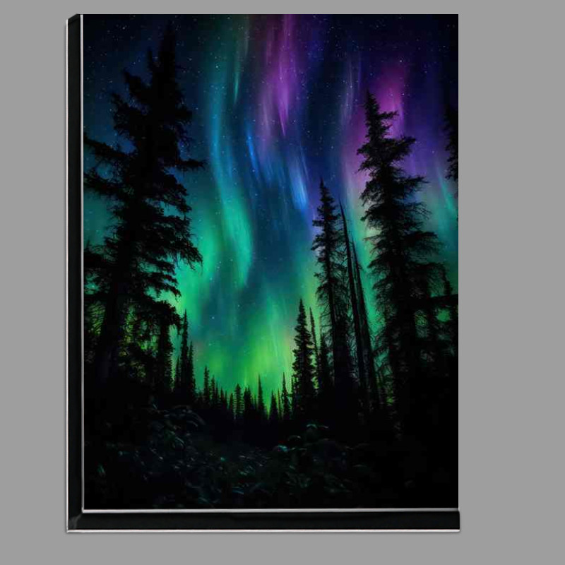 Buy Di-Bond : (Whispers of the Northern Lights)