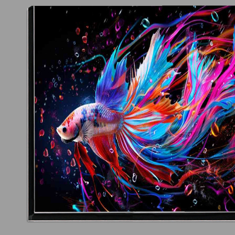 Buy Di-Bond : (Multi coloured betta fish underwater)
