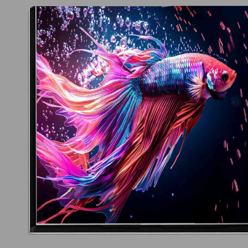 Buy Di-Bond : (Multicolored betta fish with its fins)