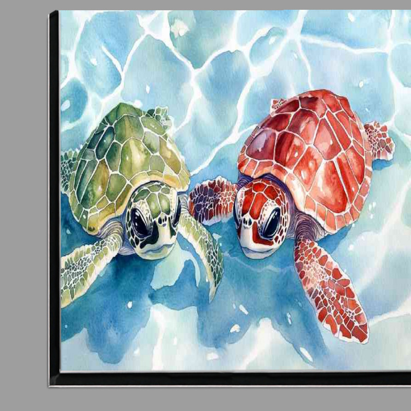 Buy Di-Bond : (Pair of baby turtles)