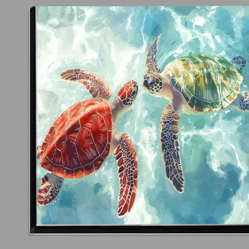 Buy Di-Bond : (Two sea turtles swimming in ocean)