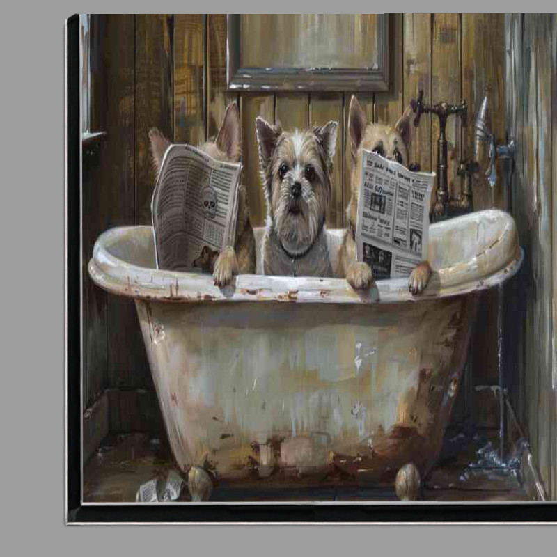Buy Di-Bond : (Little terriers Dogs in the bath tub reading)