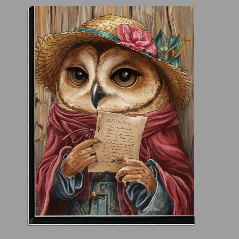 Buy Di-Bond : (Owl wearing a straw hat)