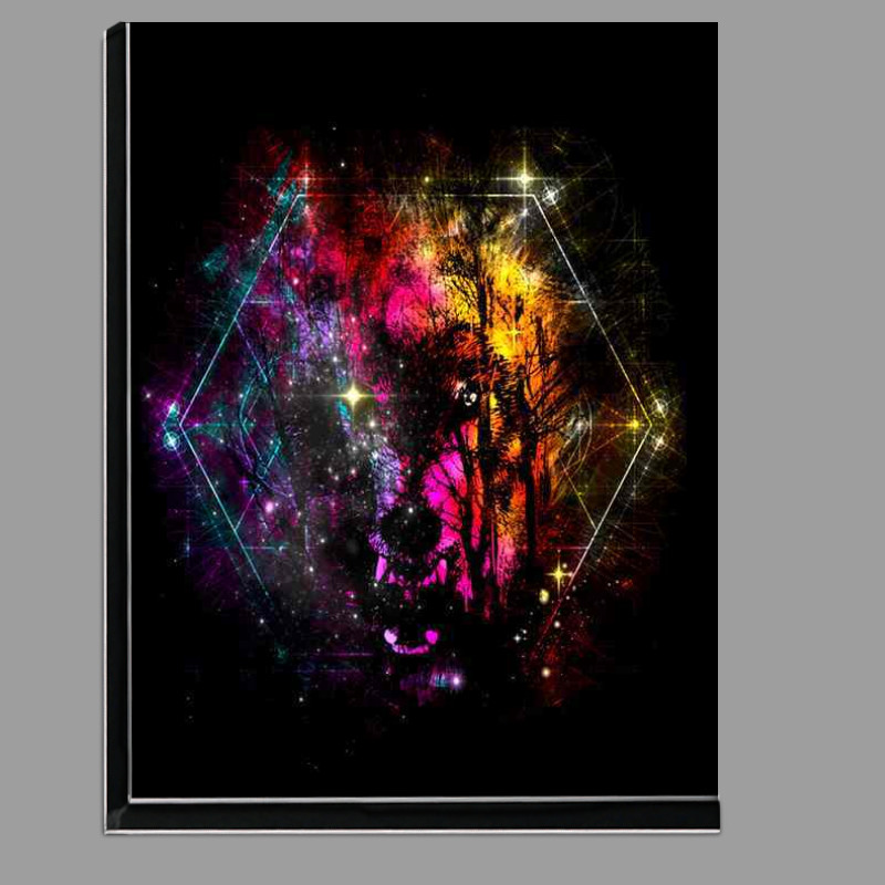 Buy Di-Bond : (Into the Woods)