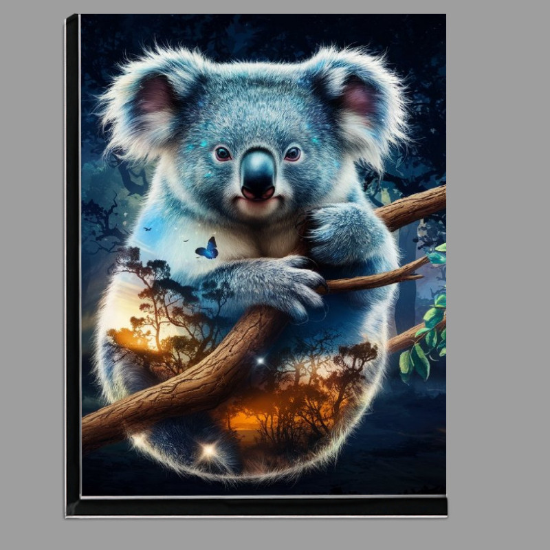 Buy Di-Bond : (Koala bear with shimmering blue)