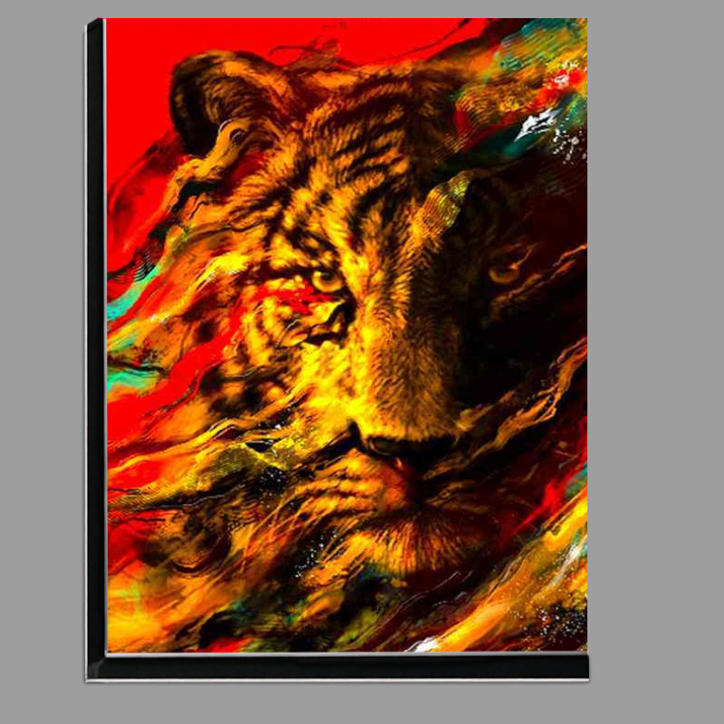 Buy Di-Bond : (Primal Gaze)
