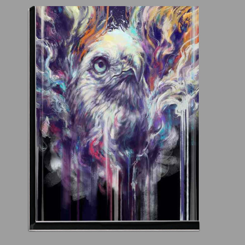 Buy Di-Bond : (Wild Hues)