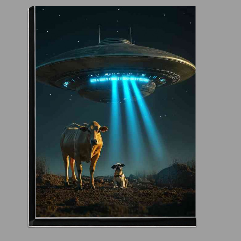Buy Di-Bond : (A cow being abducted by an alien UFO night sky with dog)