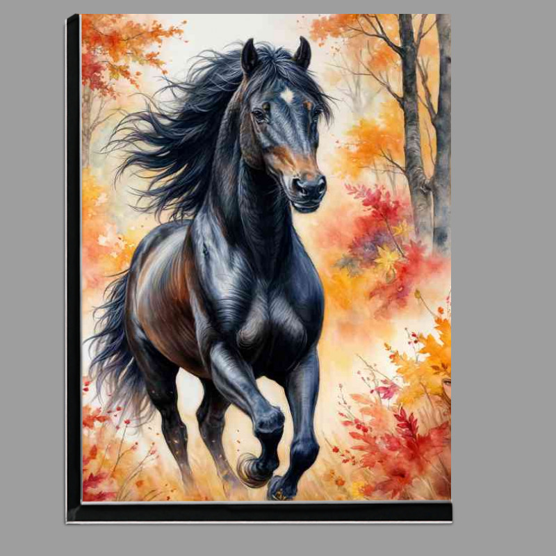 Buy Di-Bond : (Majestic black horse in the woods)