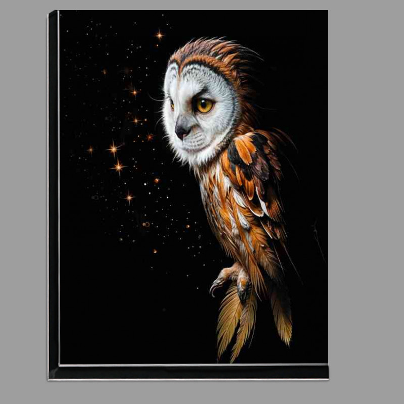 Buy Di-Bond : (Majestic owl with glowing stars at night)