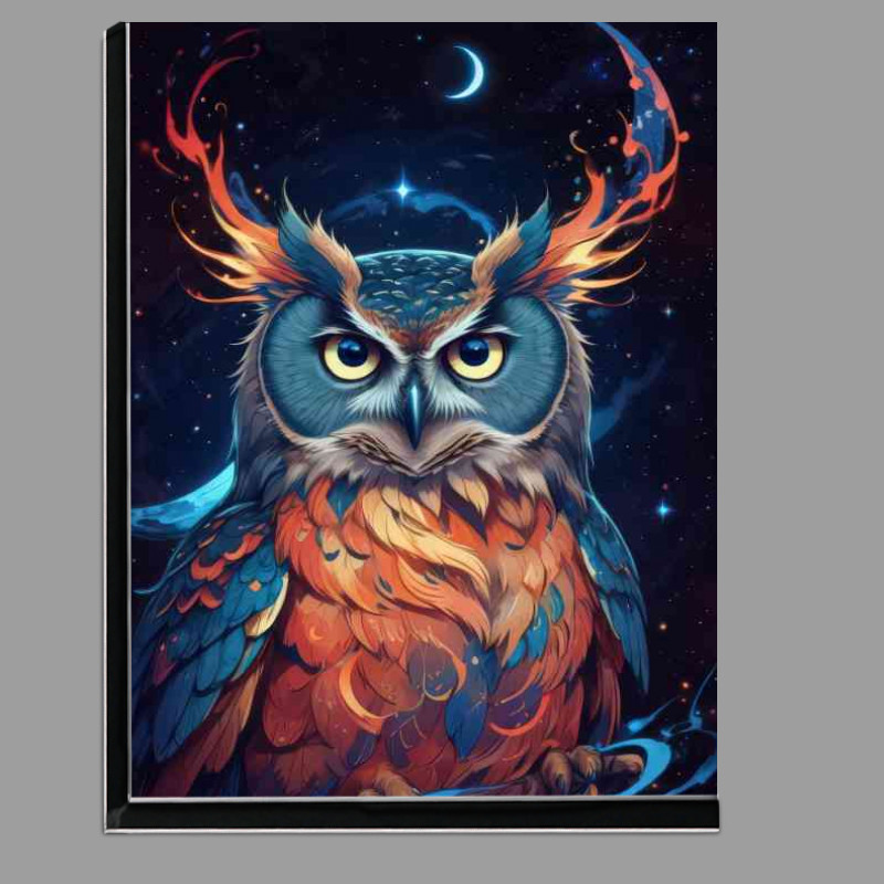 Buy Di-Bond : (Colourful majestic owl at night yellow eyes)