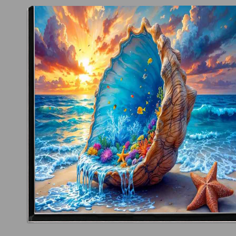 Buy Di-Bond : (Seashell on the beech)