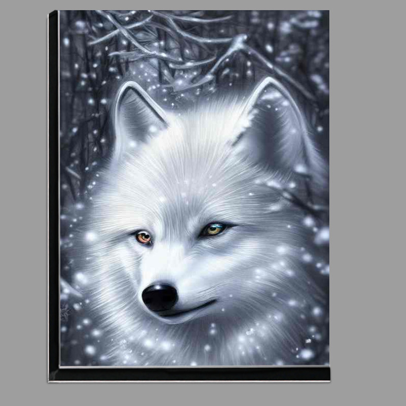 Buy Di-Bond : (Cute White Wolf In Winter)