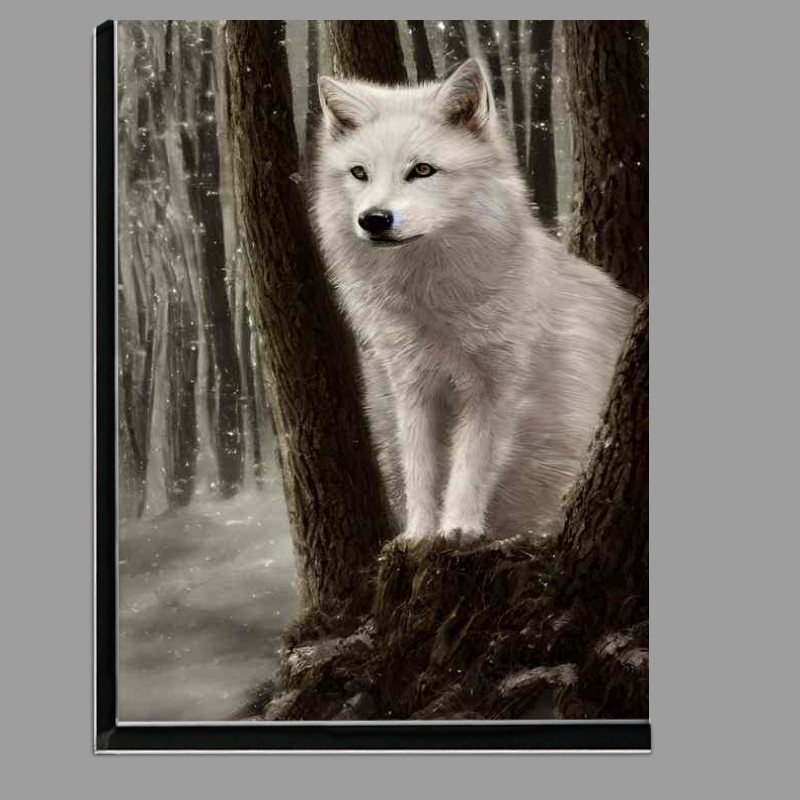 Buy Di-Bond : (Tiny White Wolf On A Tree)