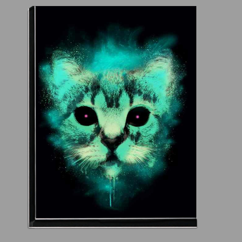 Buy Di-Bond : (Cosmic cat)