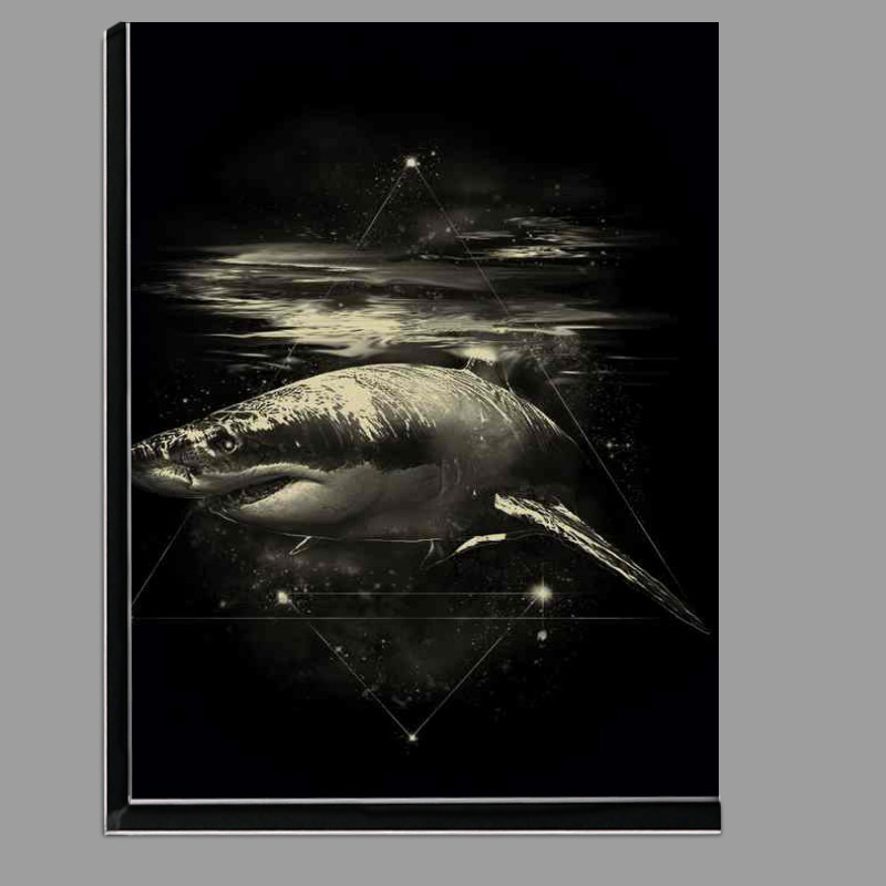 Buy Di-Bond : (Shark in Space)
