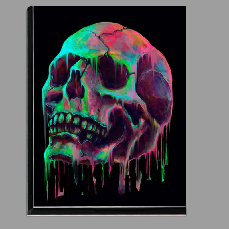 Buy Di-Bond : (Skull Colour)