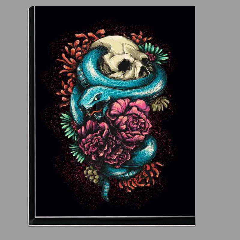 Buy Di-Bond : (Vitality)