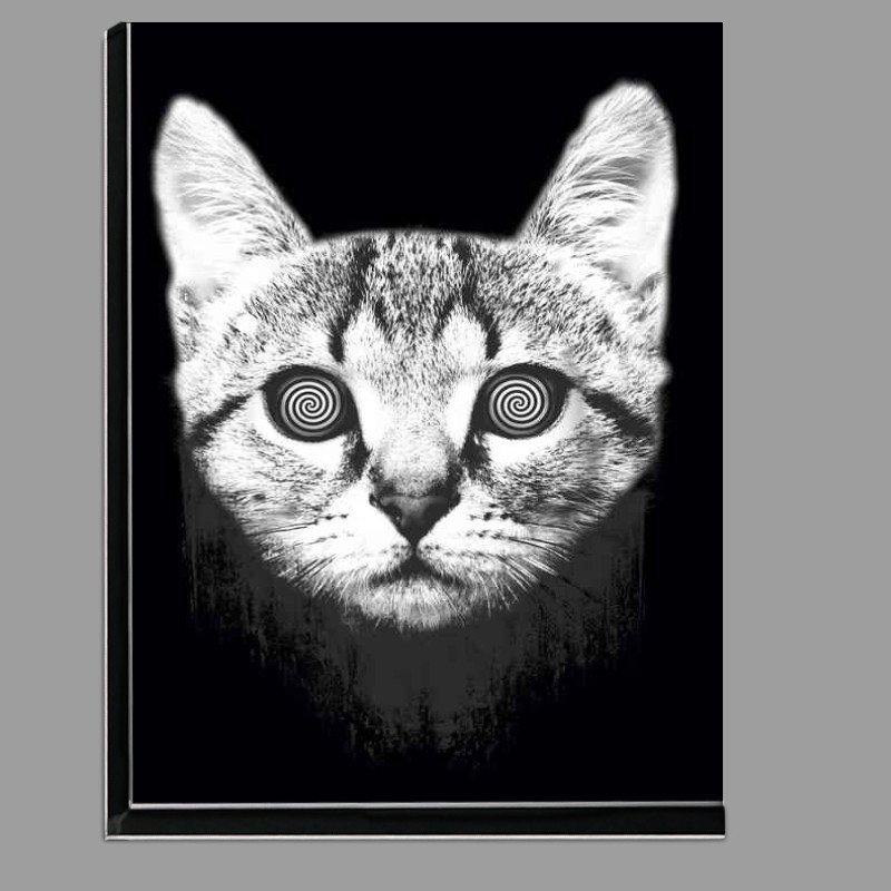 Buy Di-Bond : (hypnotize)