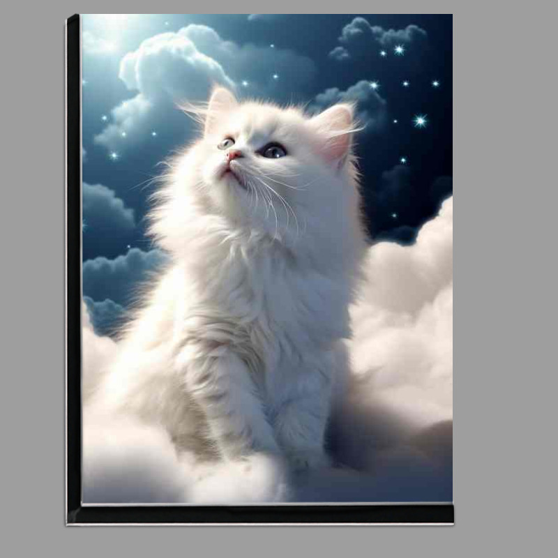 Buy Di-Bond : (Heartfelt Hues Kittens Artistic and Colorful)