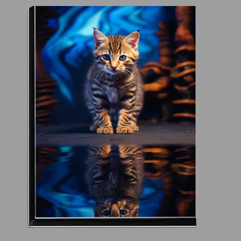 Buy Di-Bond : (Mystical Mews Water Droplet Cats in Artistic Display)
