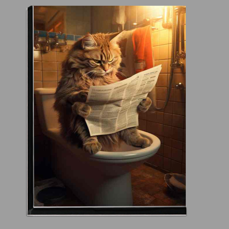 Buy Di-Bond : (Paws And Paper The Quirky World of Cats Reading Newspapers)